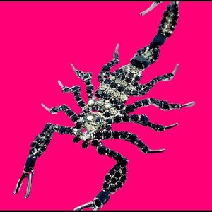 Crystal Rhinestone Scorpion Brooch - Arachnid Swag